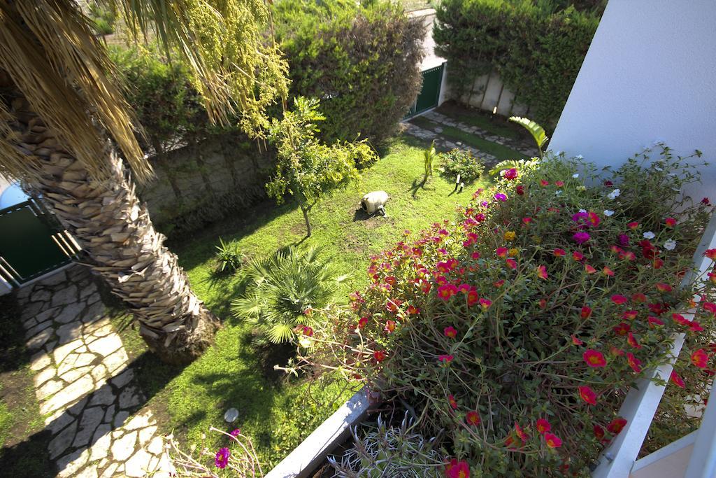 B&B Villa Genny A Pochi Passi Dal Mare San Cataldo  Quarto foto