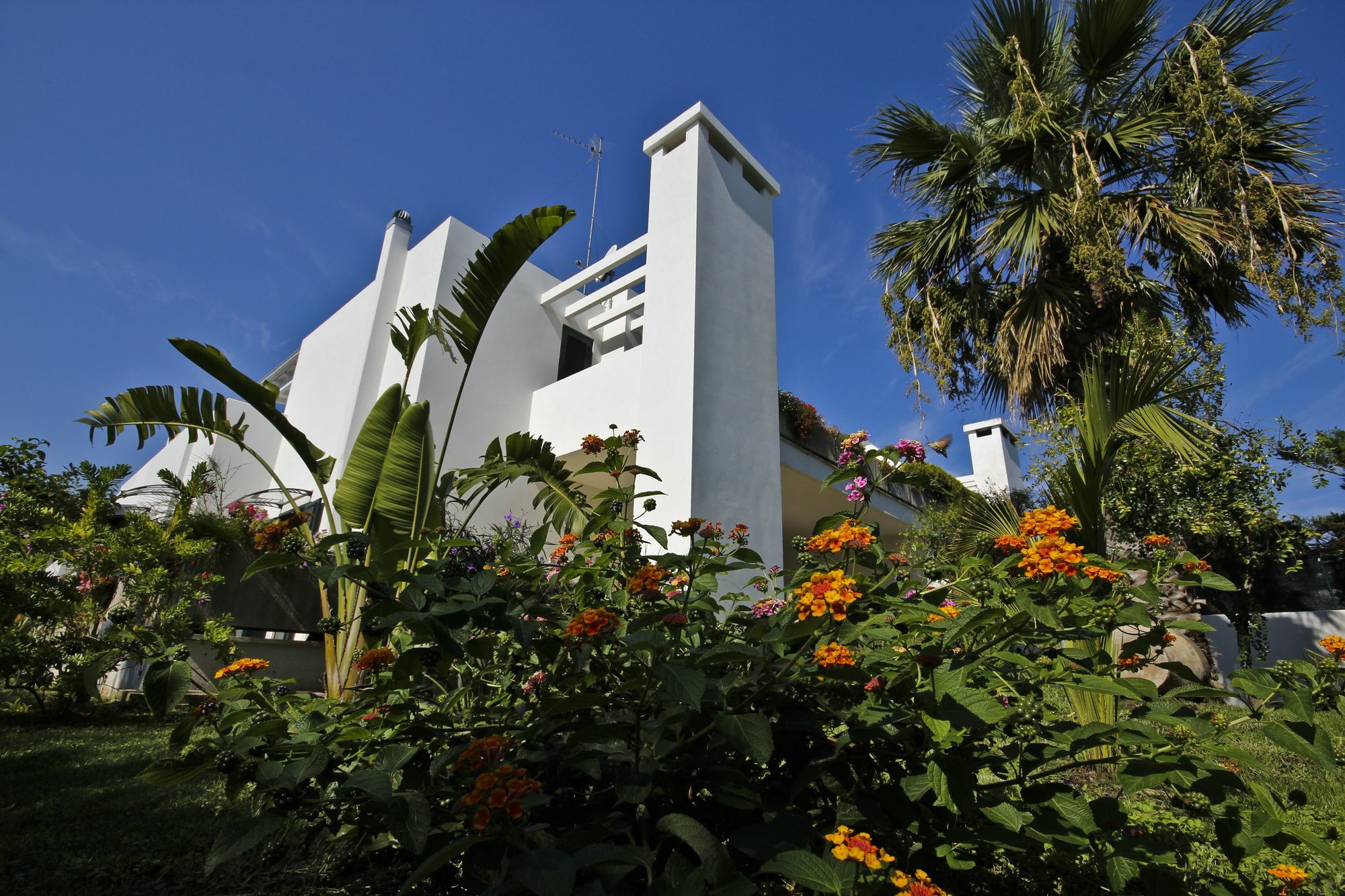 B&B Villa Genny A Pochi Passi Dal Mare San Cataldo  Exterior foto